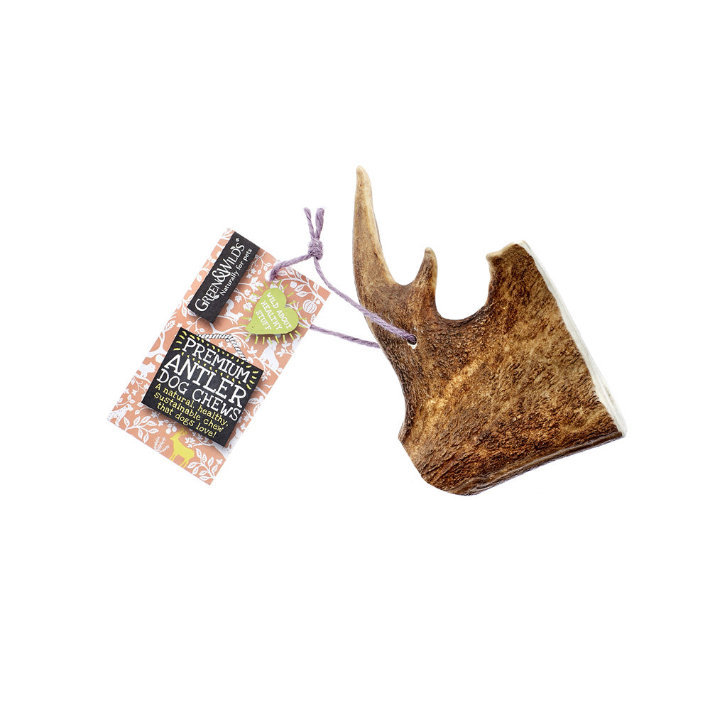 Fallow Antler Chew Large – Green and Wilds Retail