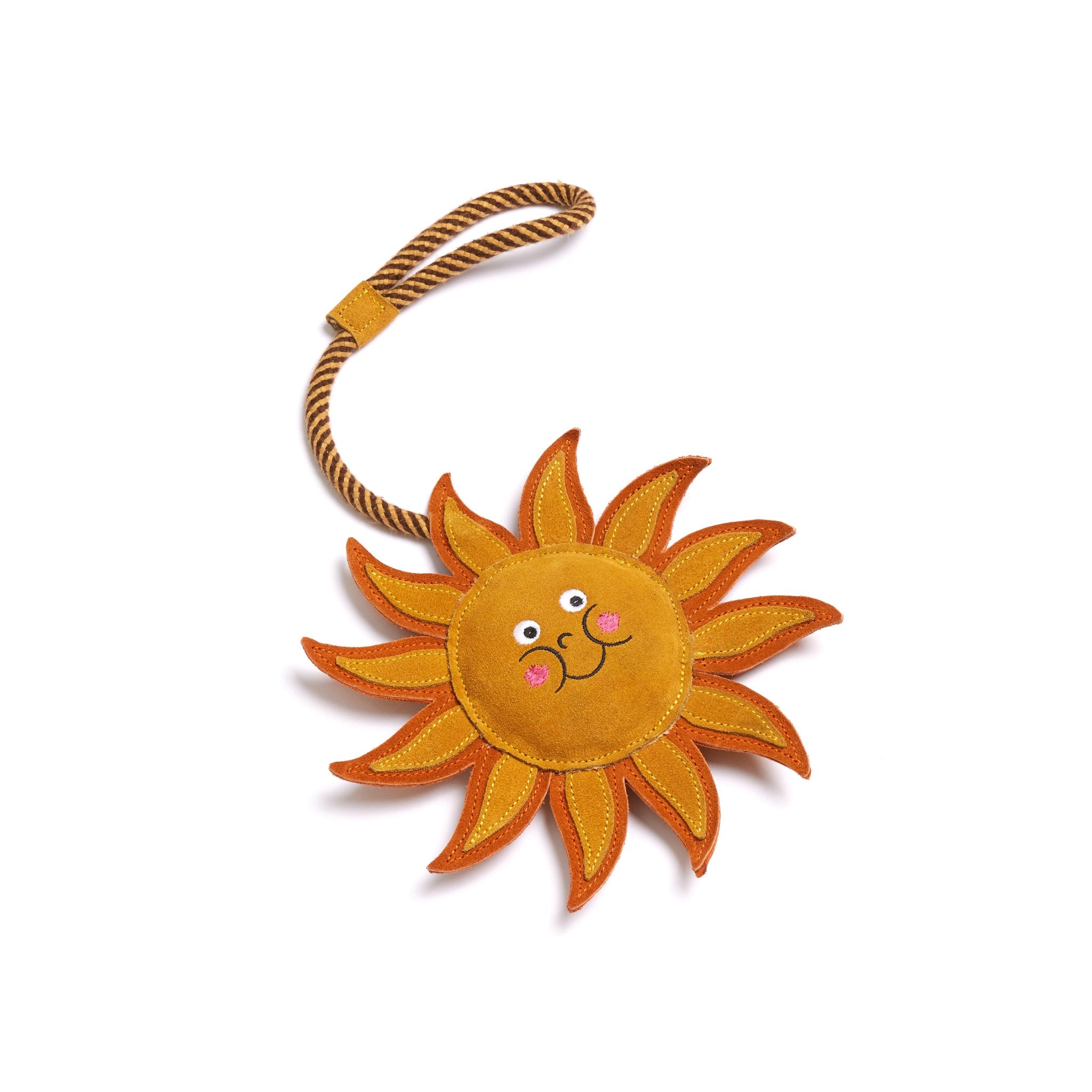 Sunny Ray, Eco Horse & Dog Toy Green and Wilds Retail