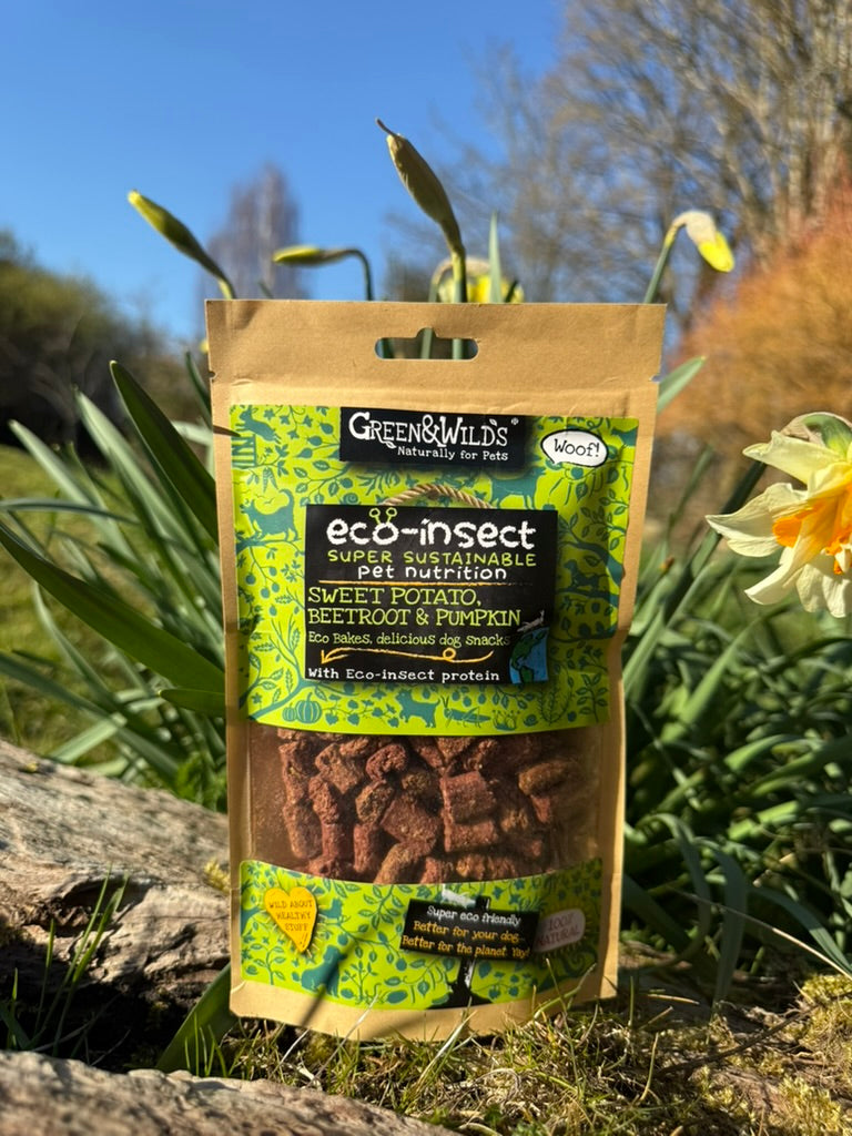 Insect-Based Dog Treats: A Sustainable Protein Snack – Green and Wilds ...
