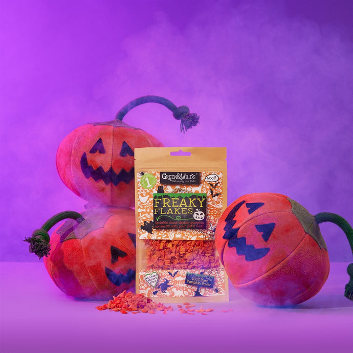 Pumpkin Dog Treats: The Perfect Healthy Halloween Snack