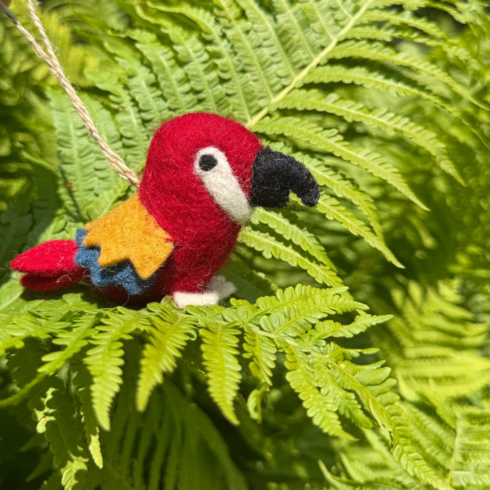 The Power of Catnip: Why It’s Nature’s Favourite Feline Treat