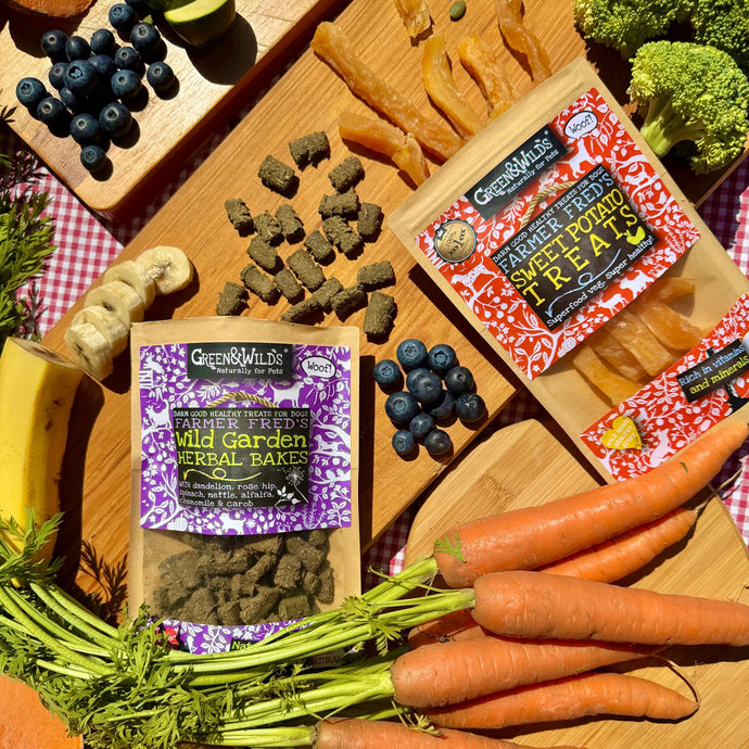 From Treats to Tummies: Why Gut Health Might Be the Key to Your Dog’s Happiness