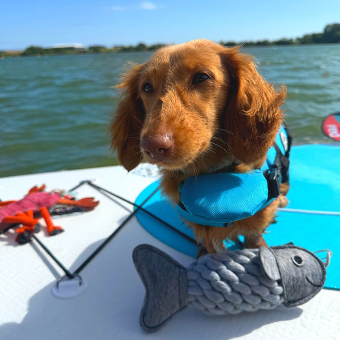 Protecting Our Oceans: Small changes make big waves.