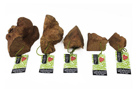 Chewroots