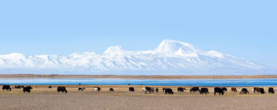 Yakity Yak Chews