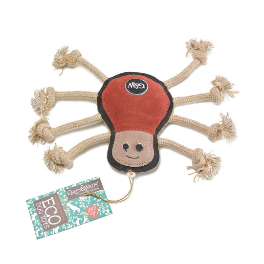 Spike the Spider, Eco Dog Toy