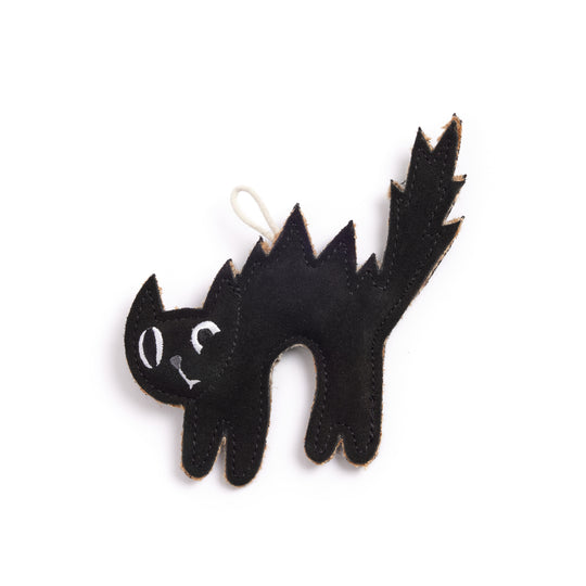 Scaredy Cat, Eco Dog Toy