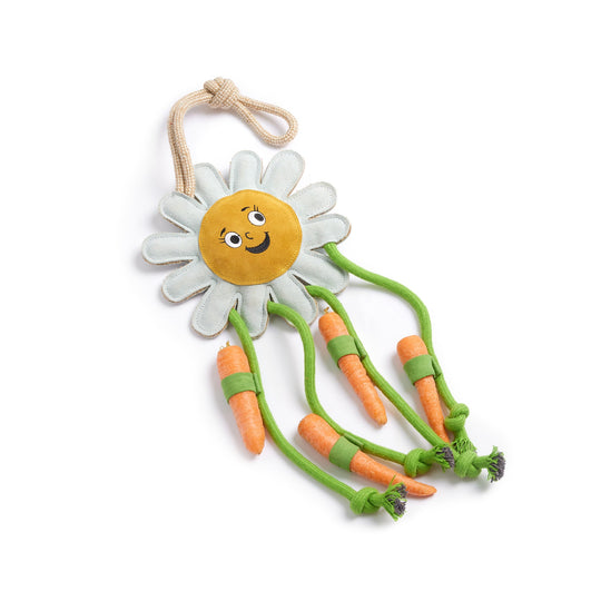 Crazy Daisy, Eco Horse Toy