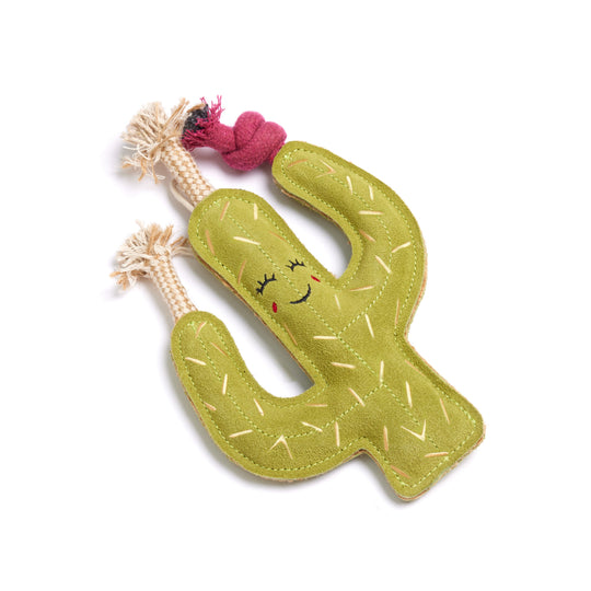 Carmen the Cactus,  Eco Dog Toy