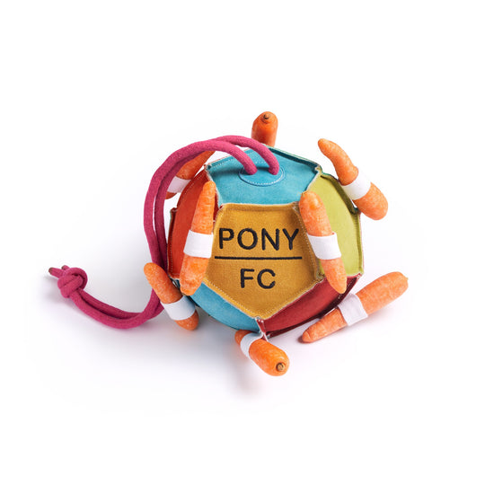 Pony FC, Eco Horse Toy