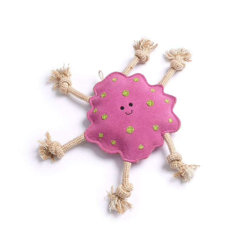 Splat, Eco Dog Toy