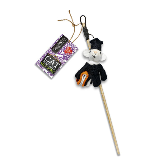 Archibald Mouse - Eco Cat Teaser Toy with Catnip
