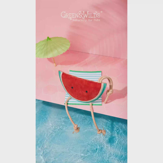 Wendy the Watermelon, Eco Dog Toy