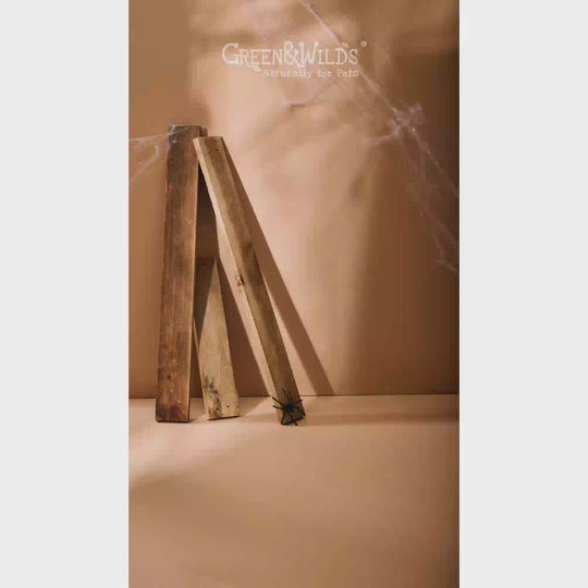 Daft Brush, Eco Dog Toy